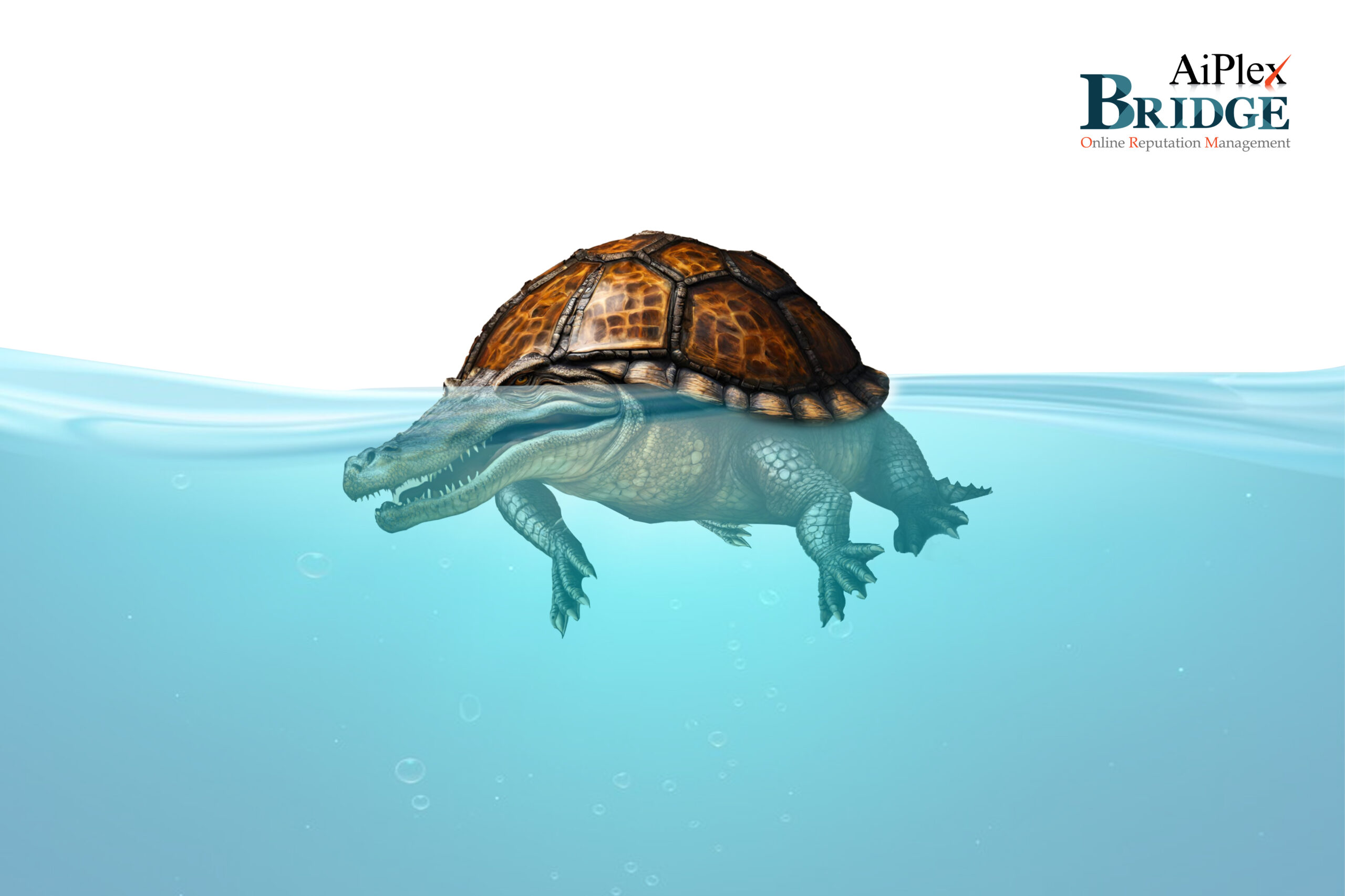 A Case Study on How to Take Down a Fake Website